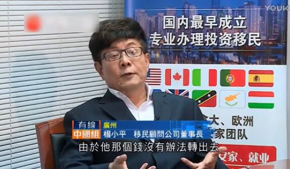 电视台专访：杨小平谈央行换汇新规