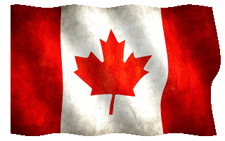 如何才能高效快速一步永居加拿大？NB省企业家移民项目为您助力