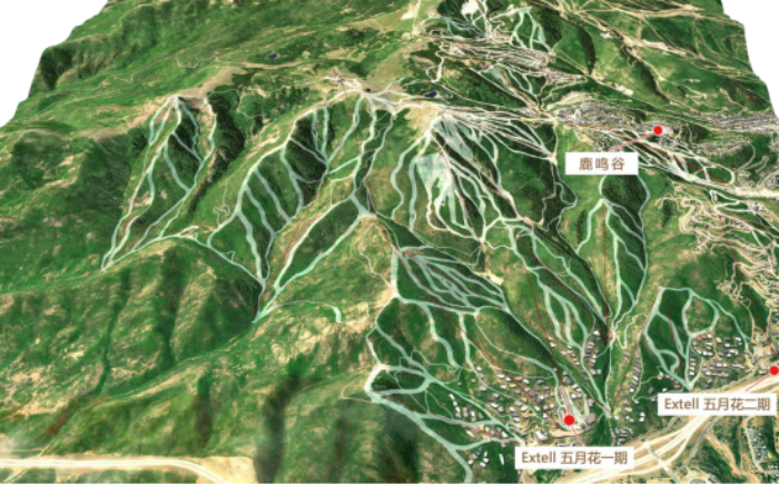 五月花与鹿鸣谷