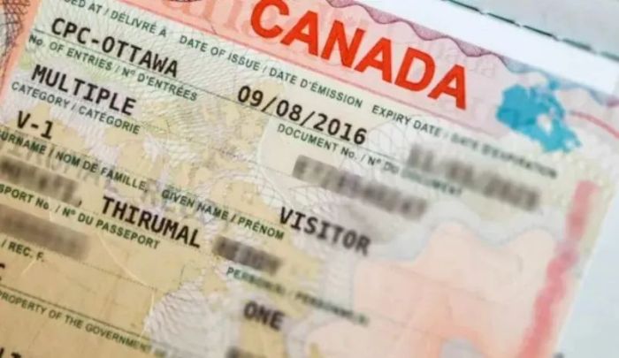 加拿大签证