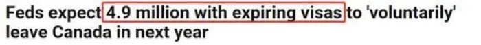 加拿大将有490万份临时签证过期