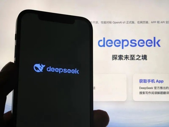 DeepSeek