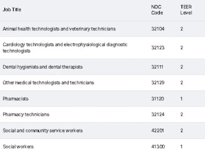 医疗保健和社会服务