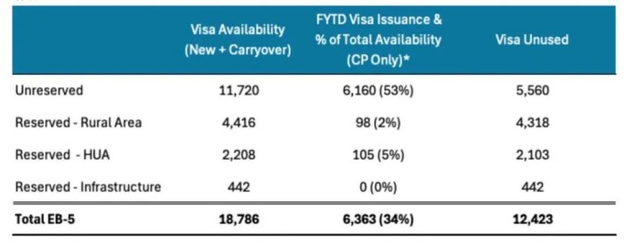 2025财年签证发放数据