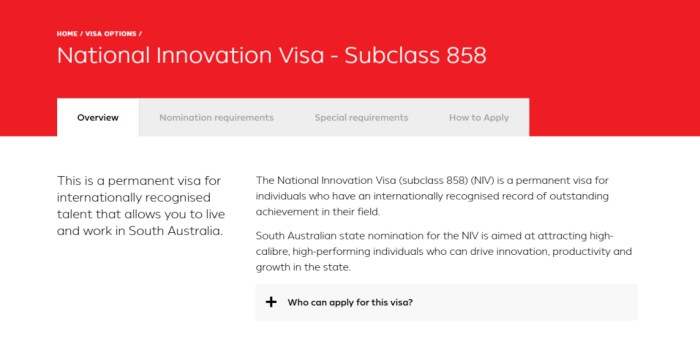 NIV签证最大的亮点