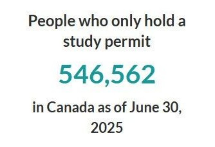 加拿大持有学习许可证