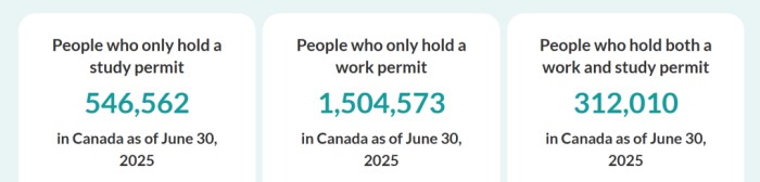 新工签数量也在大幅减少