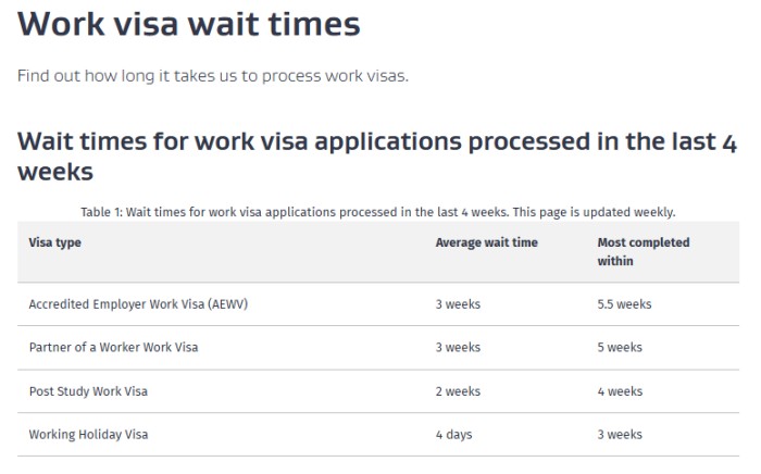 工作假期签证审批最快